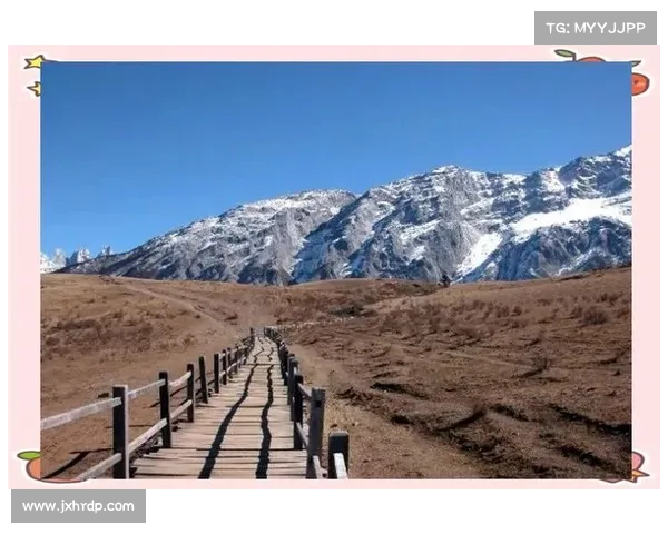 拜仁慕尼黑体育场名称背后那些鲜为人知的历史文化传奇故事深度探索