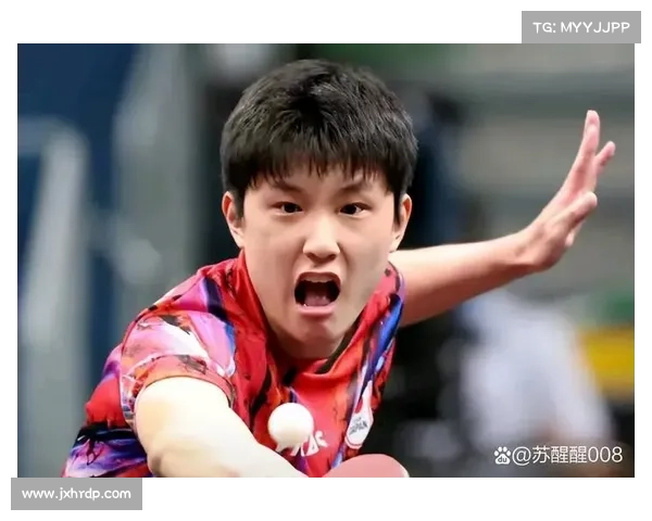 张本智和失利背后的深刻反思与成长经验解析